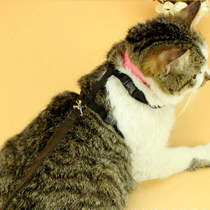 Adjustable Cat Harness & Lead