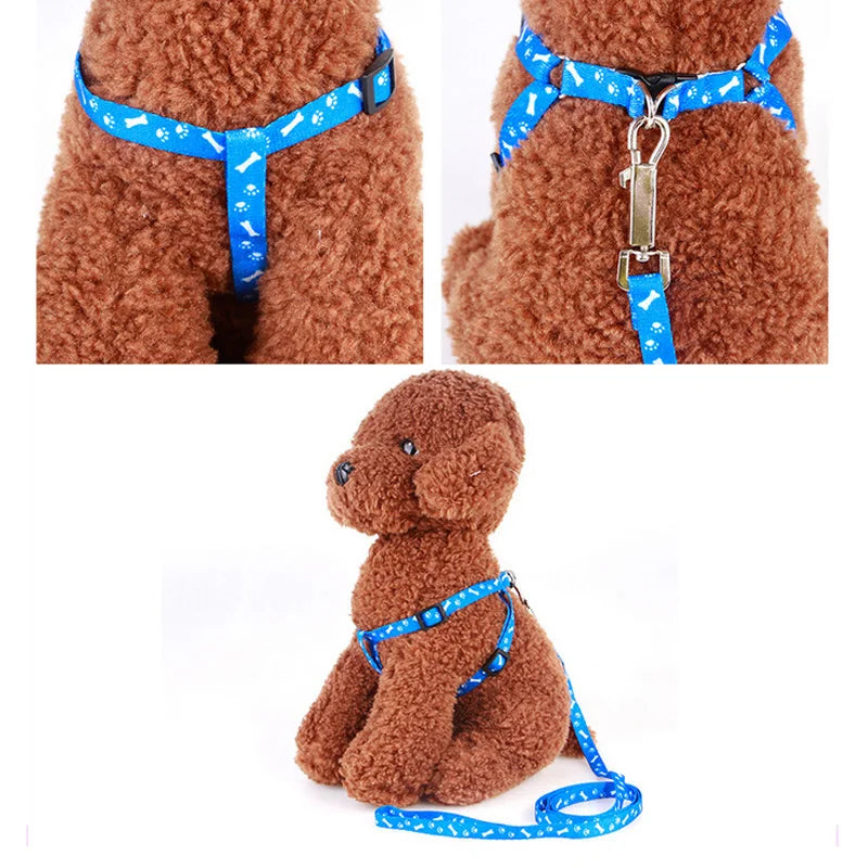 Adjustable Cat Harness & Lead