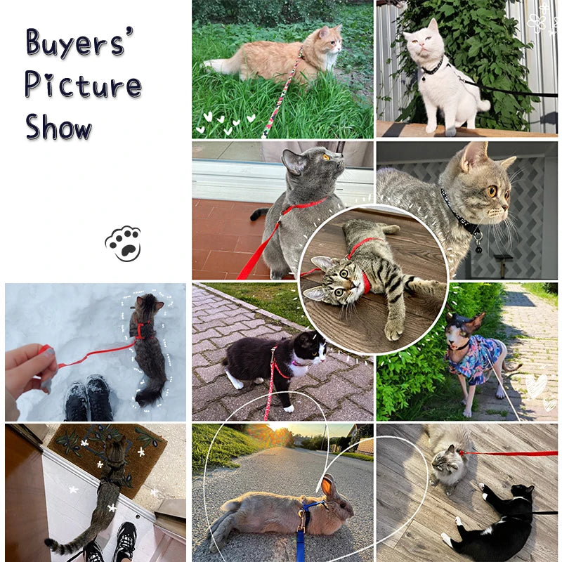 Adjustable Cat Harness & Lead