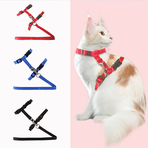 Adjustable Cat Harness & Lead