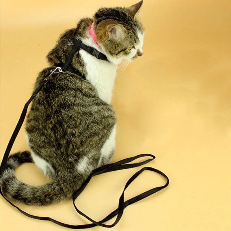 Adjustable Cat Harness & Lead