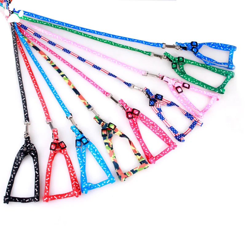 Adjustable Cat Harness & Lead