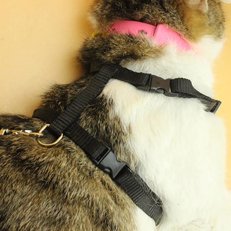 Adjustable Cat Harness & Lead