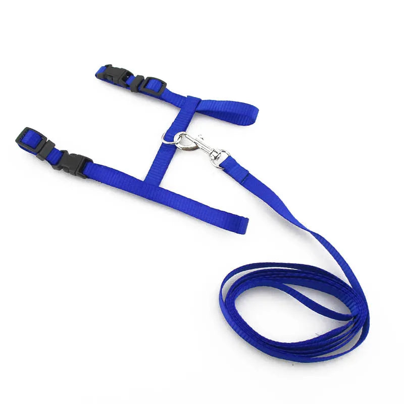 Adjustable Cat Harness & Lead