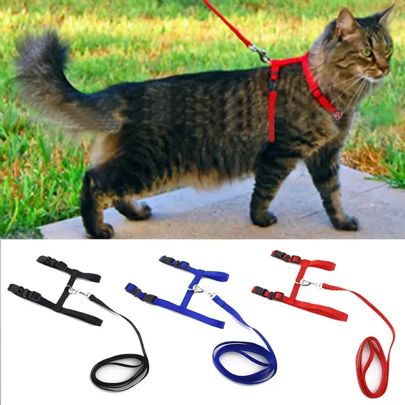 Adjustable Cat Harness & Lead