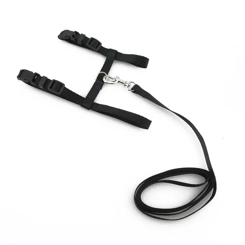 Adjustable Cat Harness & Lead
