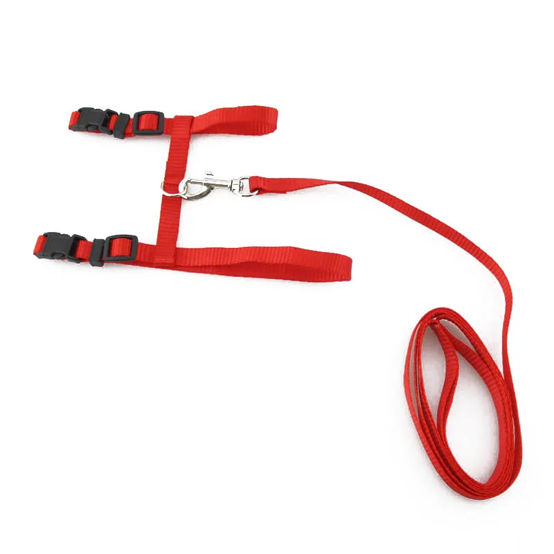 Adjustable Cat Harness & Lead