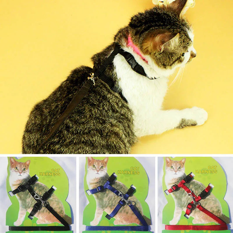 Adjustable Cat Harness & Lead