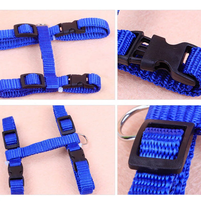 Adjustable Cat Harness & Lead