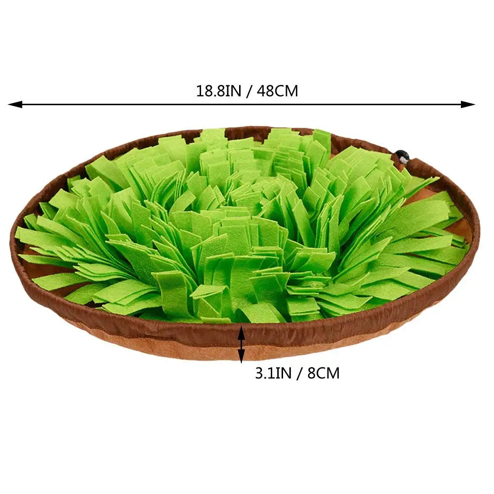 Interactive Pet Snuffle Mat