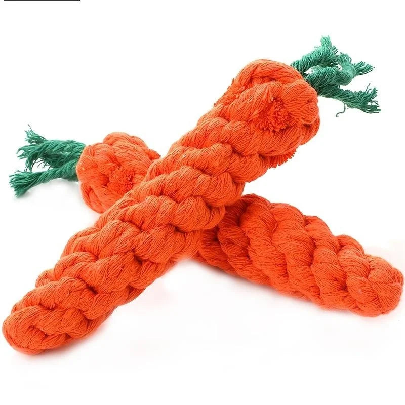 Carrot Toy
