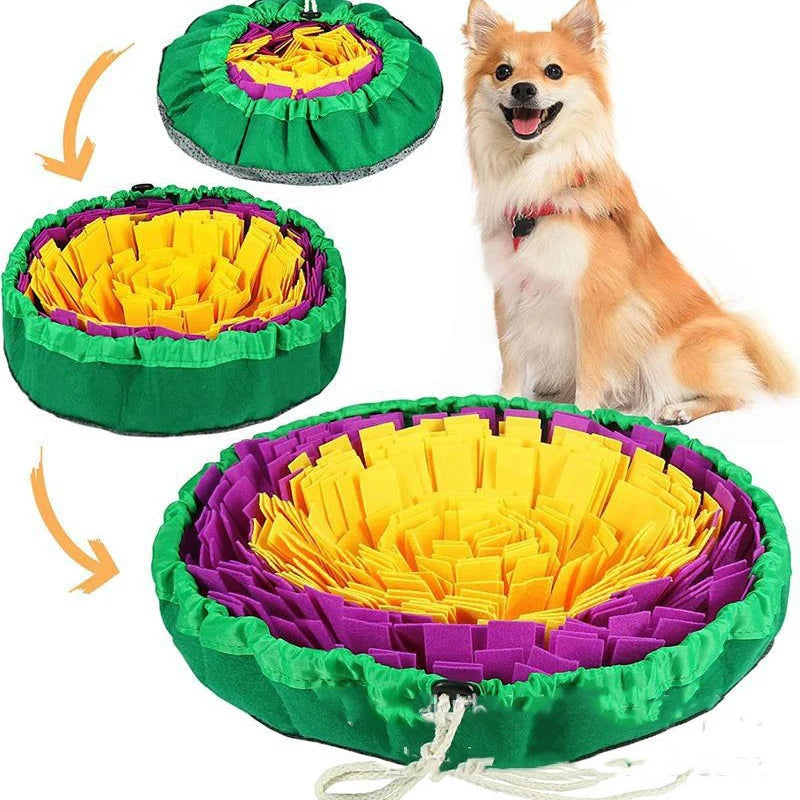 Interactive Pet Snuffle Mat