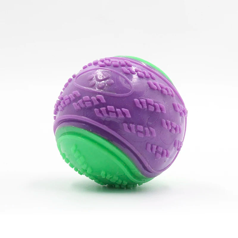 Squeaky TPR Dog Ball
