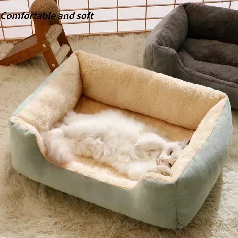 Bed for Cats Pet Products Cushions Kitten Goods Accessories Dog All Home Supplies Things Accessory Habitats Basket House Beds