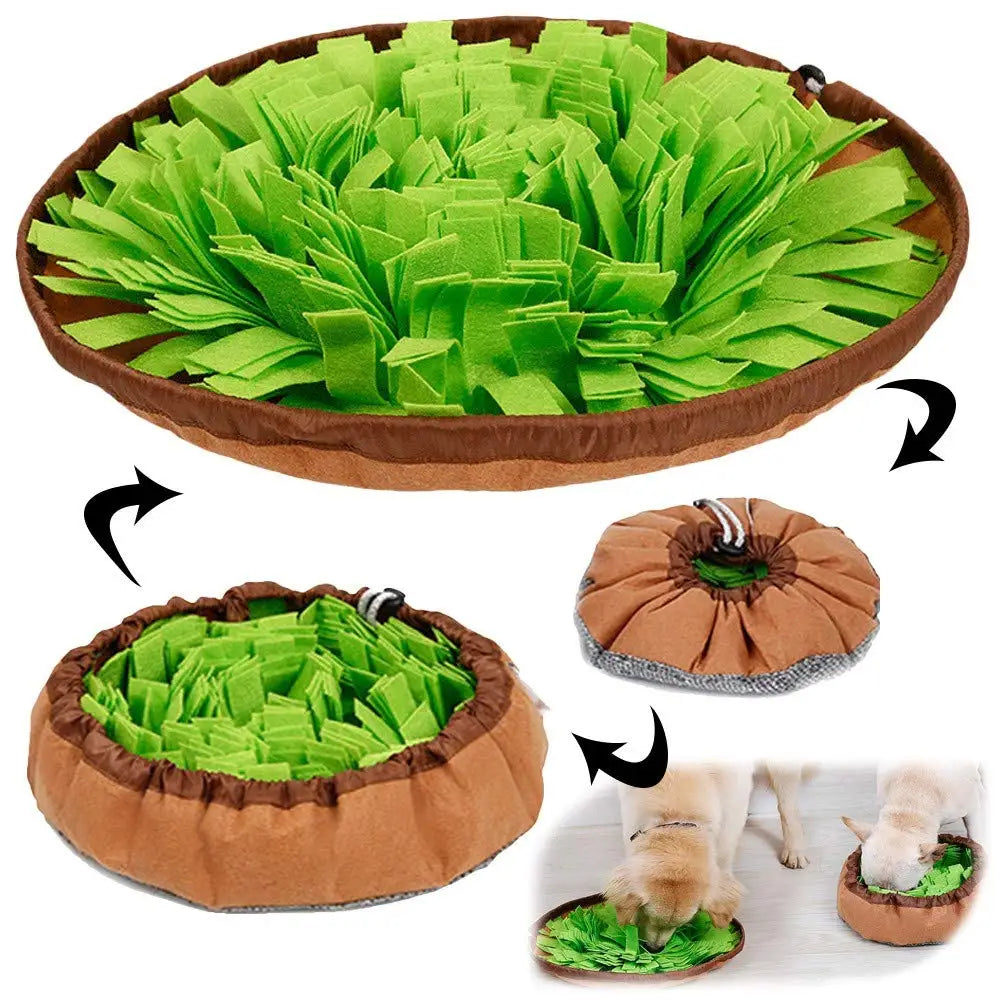 Interactive Pet Snuffle Mat