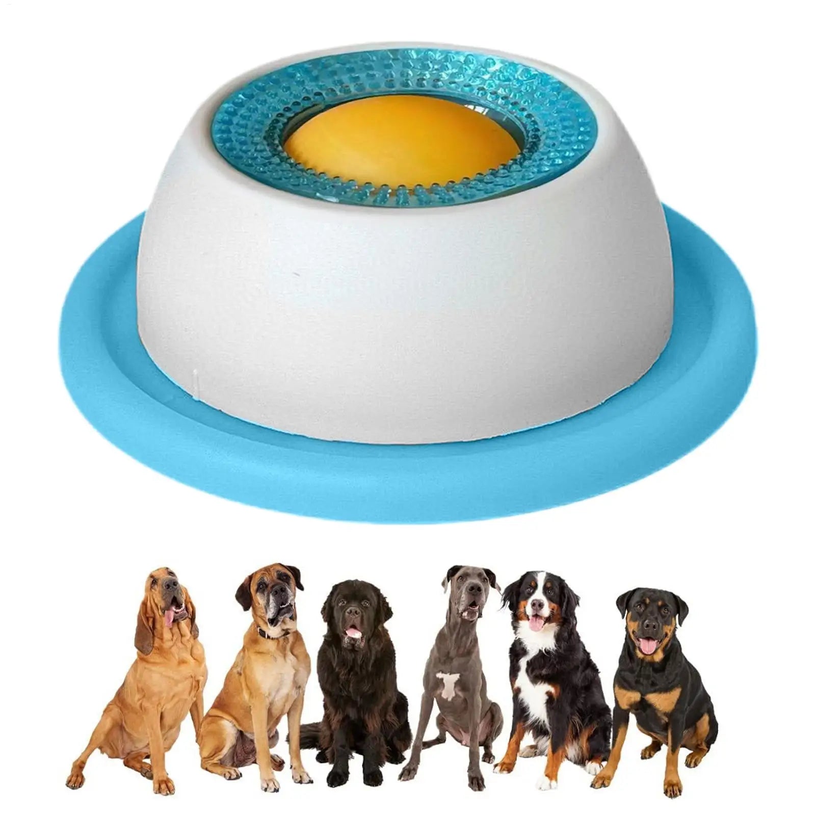 Pet Feeder Bowl