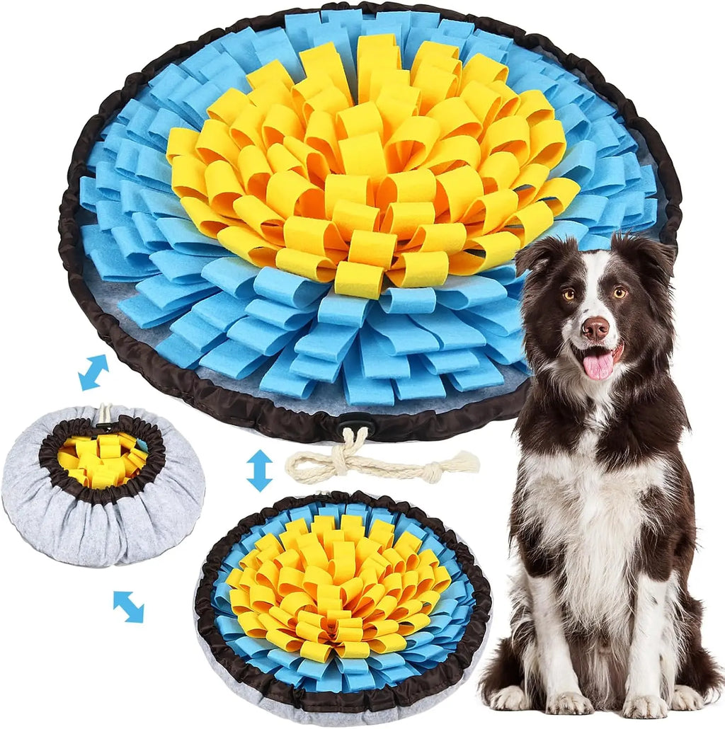 Interactive Pet Snuffle Mat