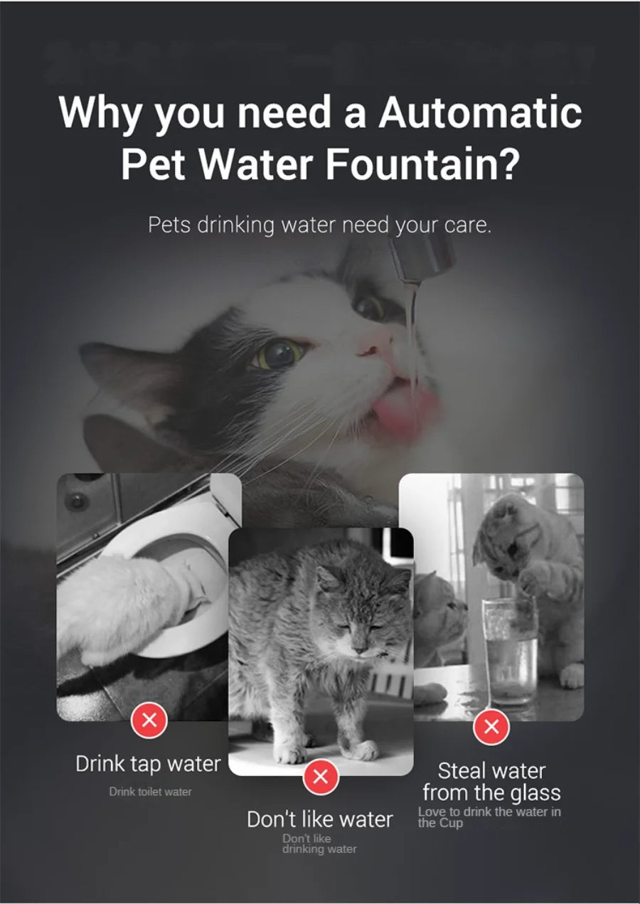 Pet Water Fountain with Filter