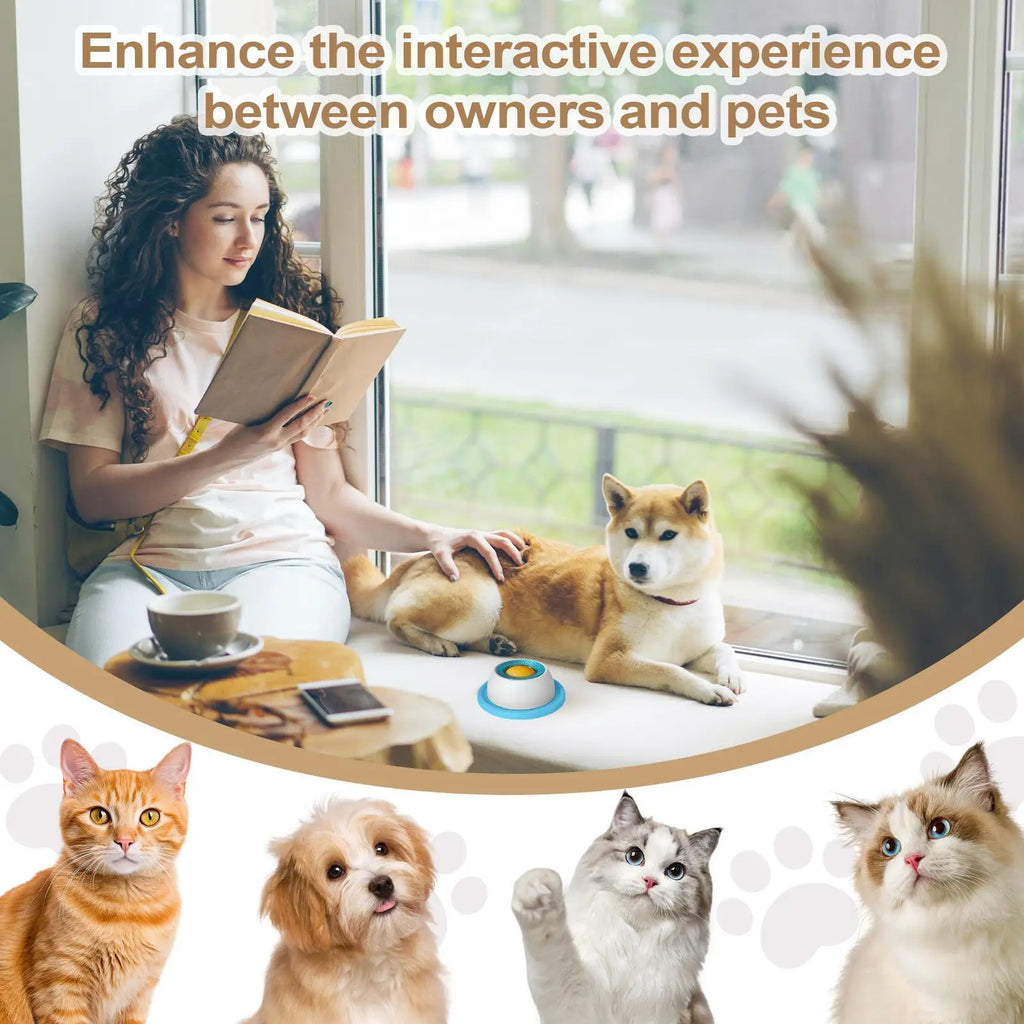 Pet Feeder Bowl