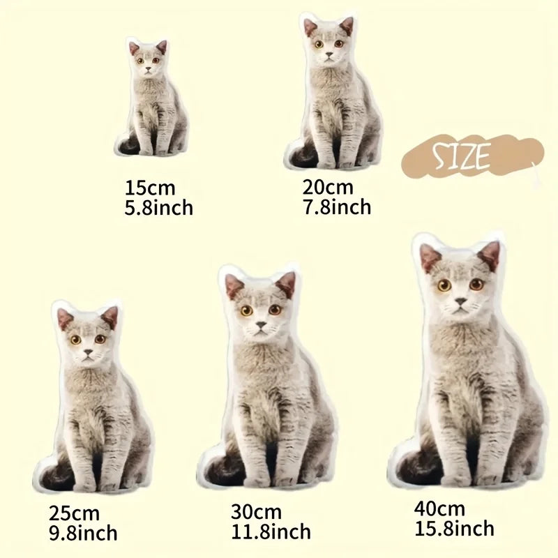 Funny Cat Pillow
