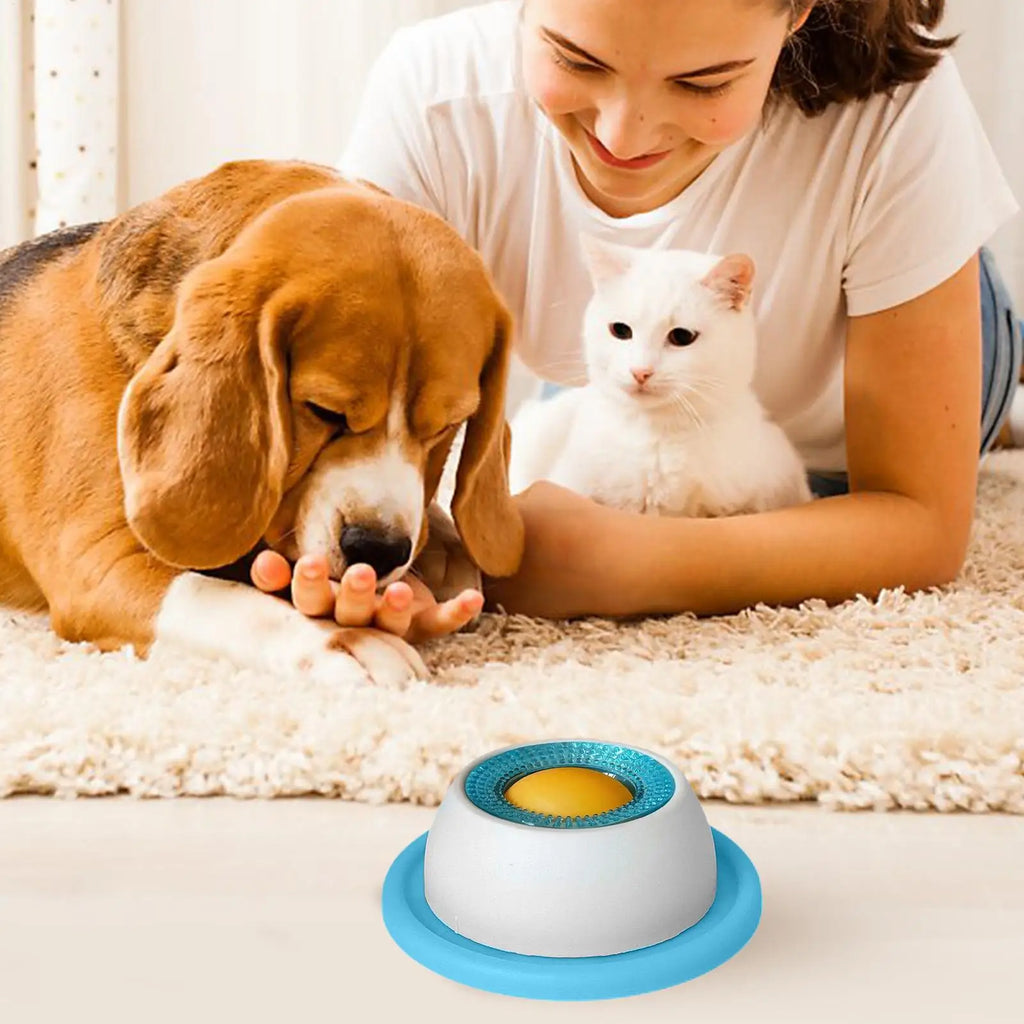 Pet Feeder Bowl