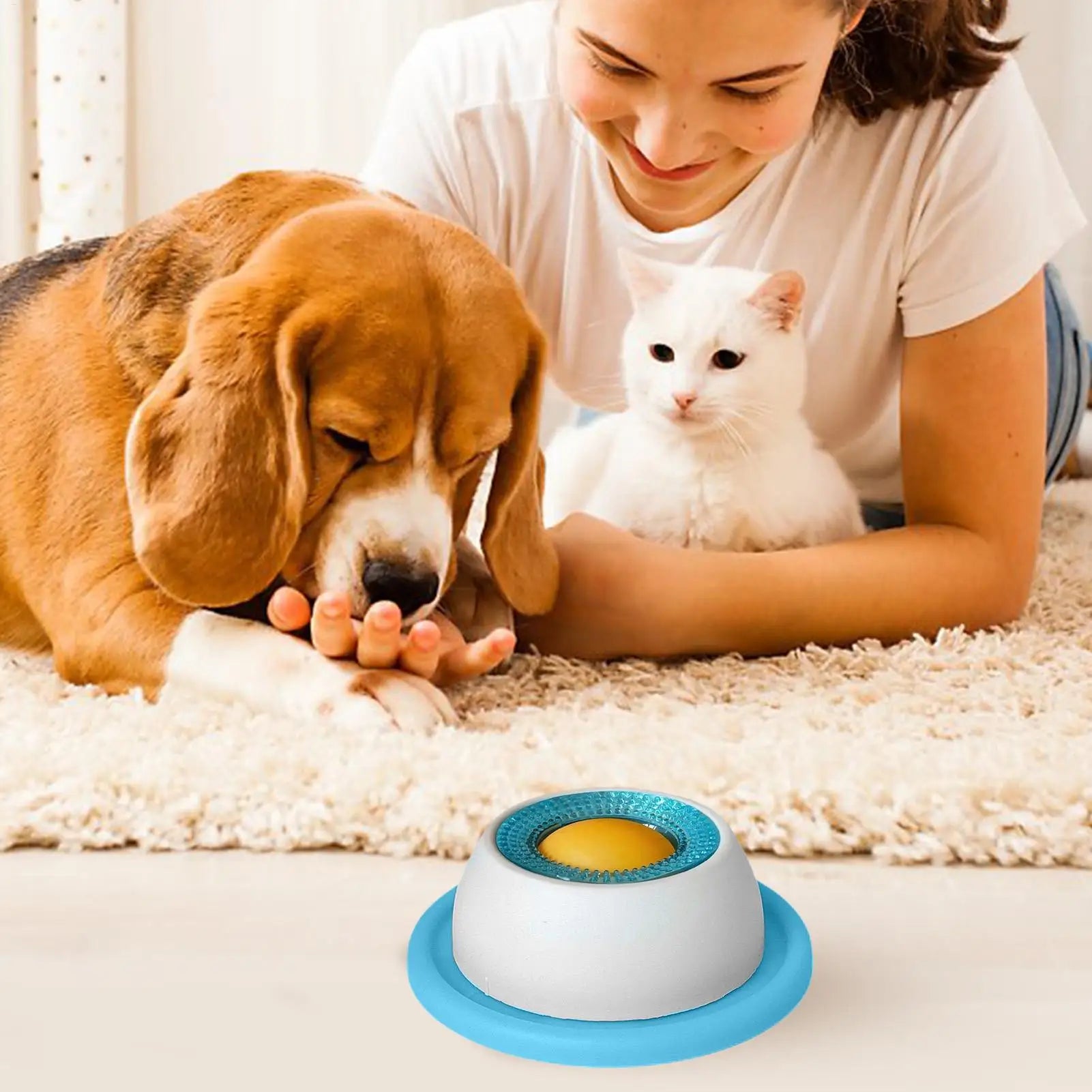 Pet Feeder Bowl
