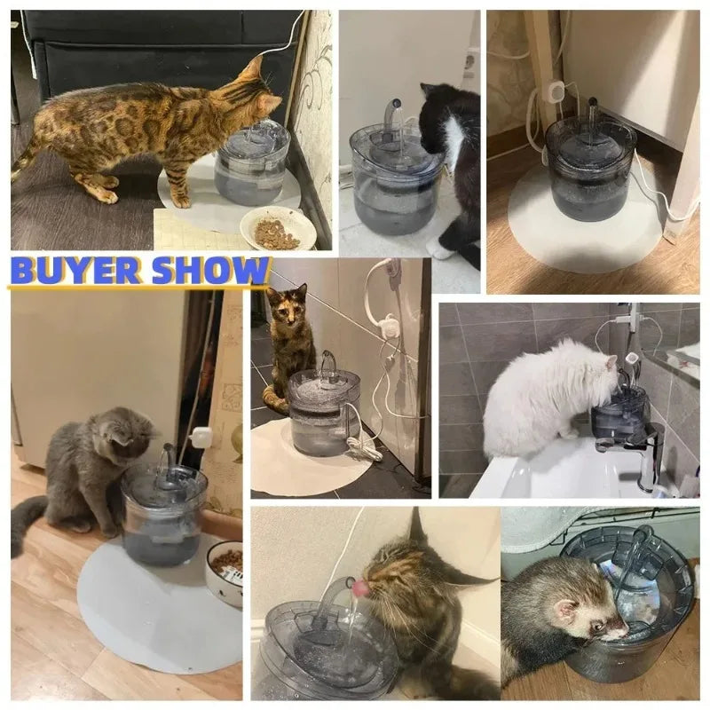 Pet Water Fountain with Filter