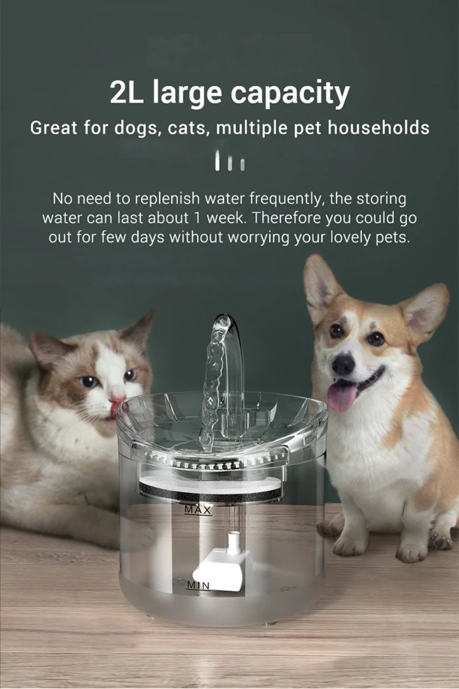 Pet Water Fountain with Filter