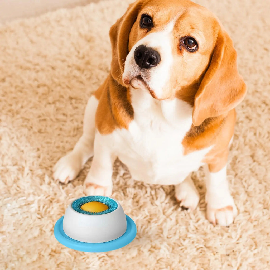 Pet Feeder Bowl