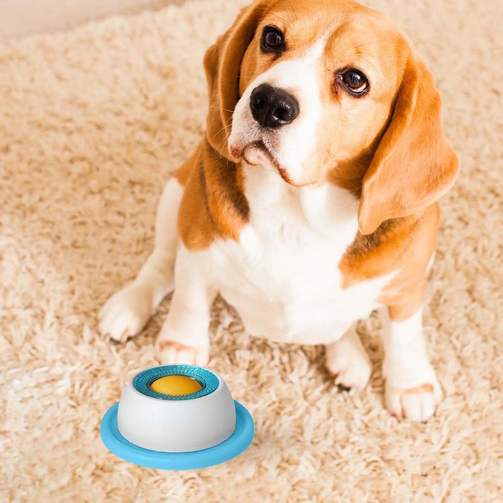 Pet Feeder Bowl