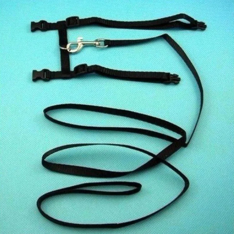 Adjustable Cat Harness & Lead