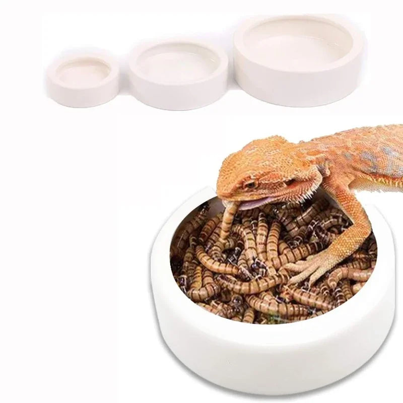 Pet Food & Water Dispenser