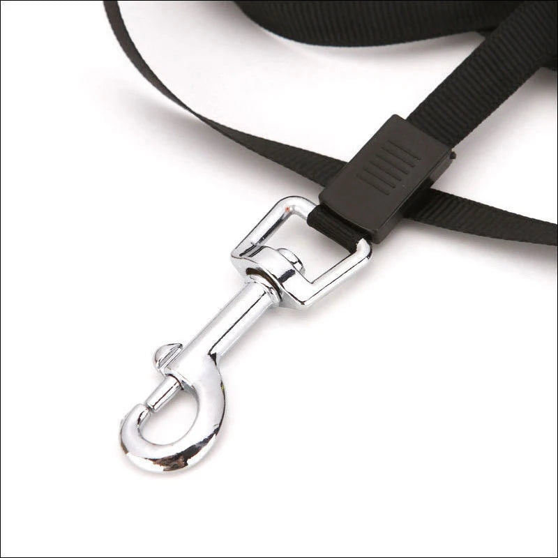 Retractable Dog Lead