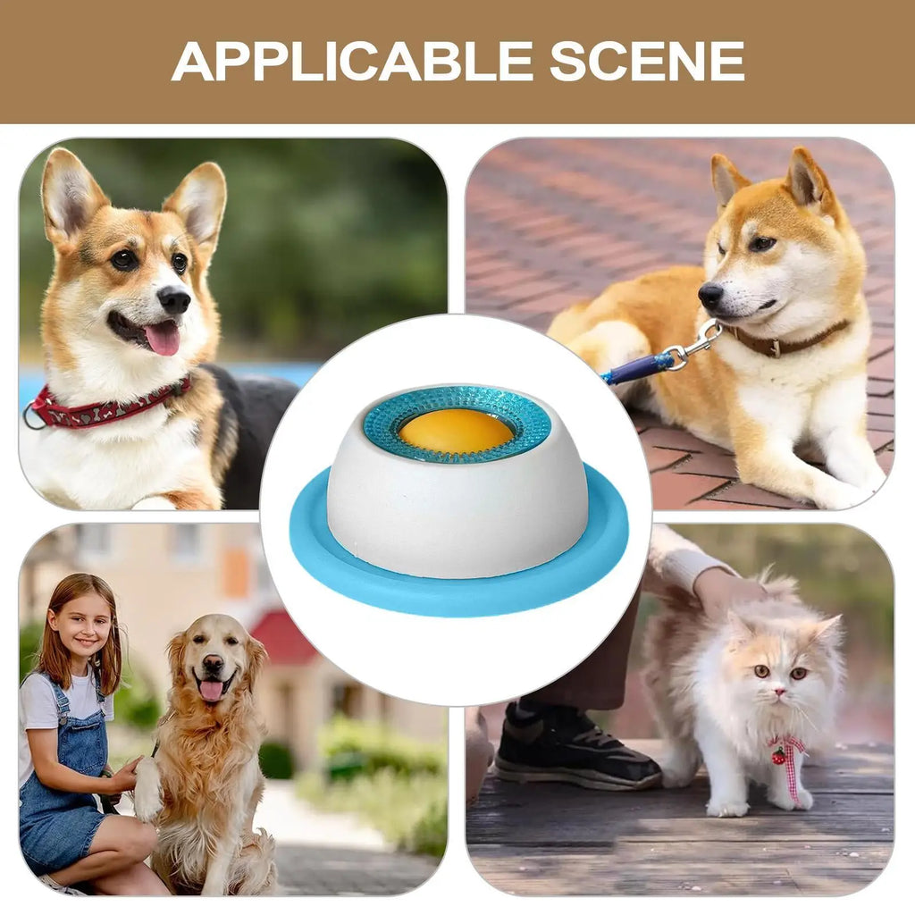 Pet Feeder Bowl