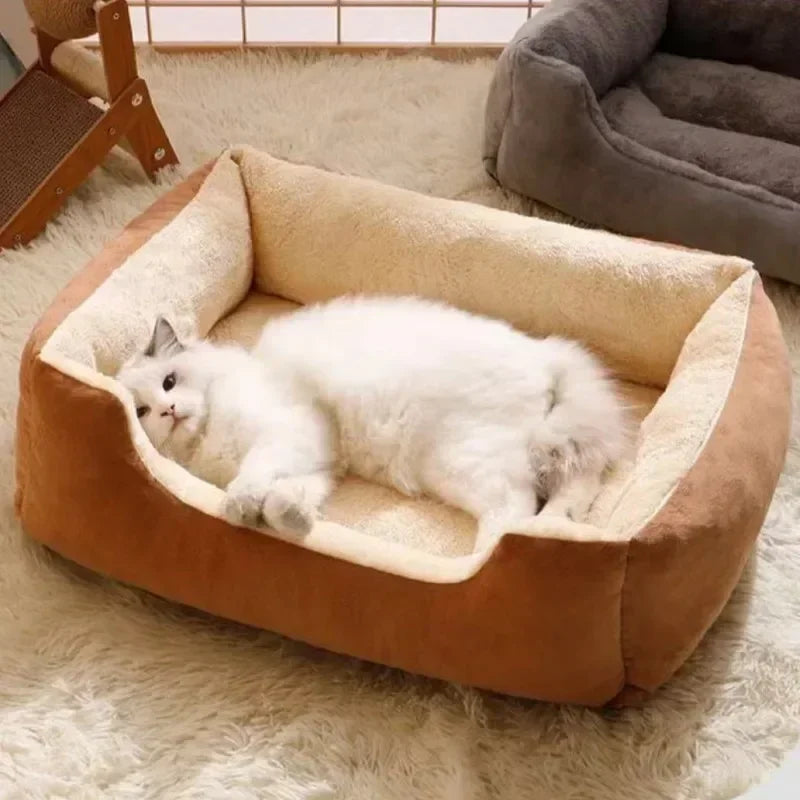 Bed for Cats Pet Products Cushions Kitten Goods Accessories Dog All Home Supplies Things Accessory Habitats Basket House Beds