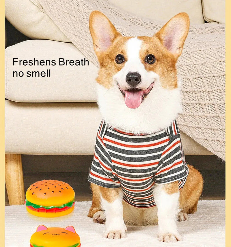 Squeaky Hamburger Dog Toy