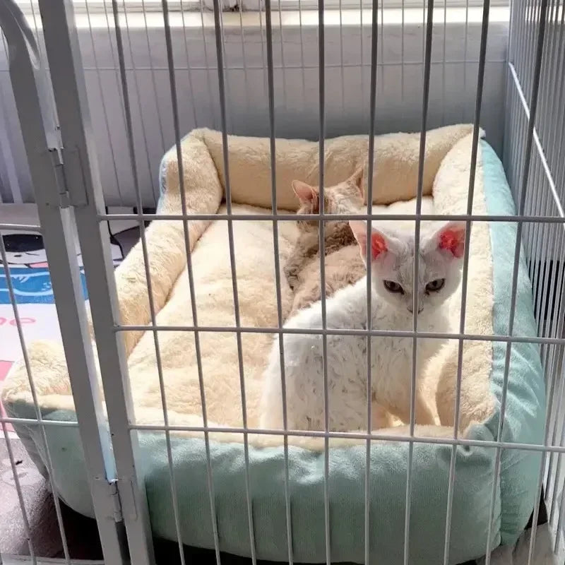 Bed for Cats Pet Products Cushions Kitten Goods Accessories Dog All Home Supplies Things Accessory Habitats Basket House Beds
