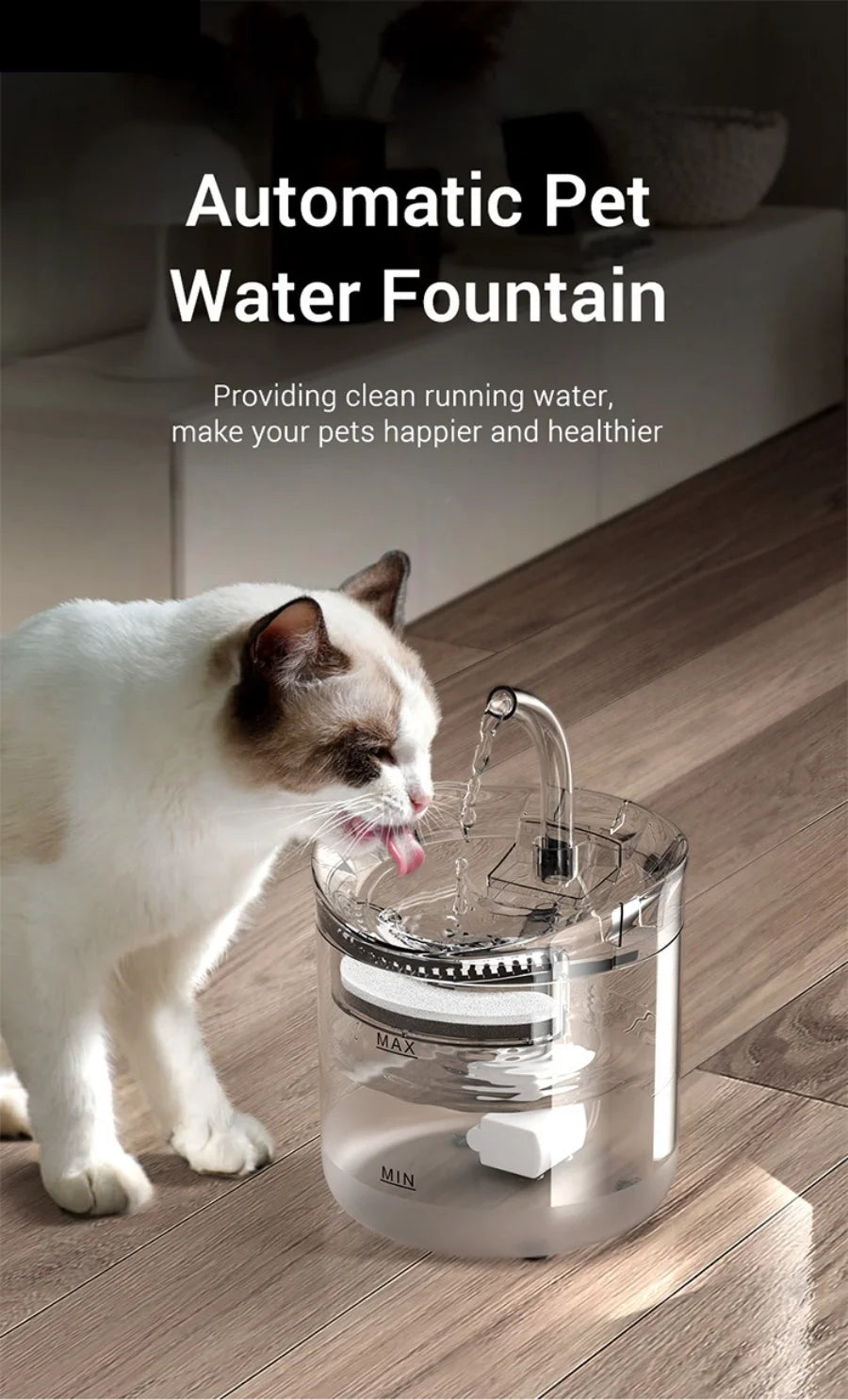 Pet Water Fountain with Filter