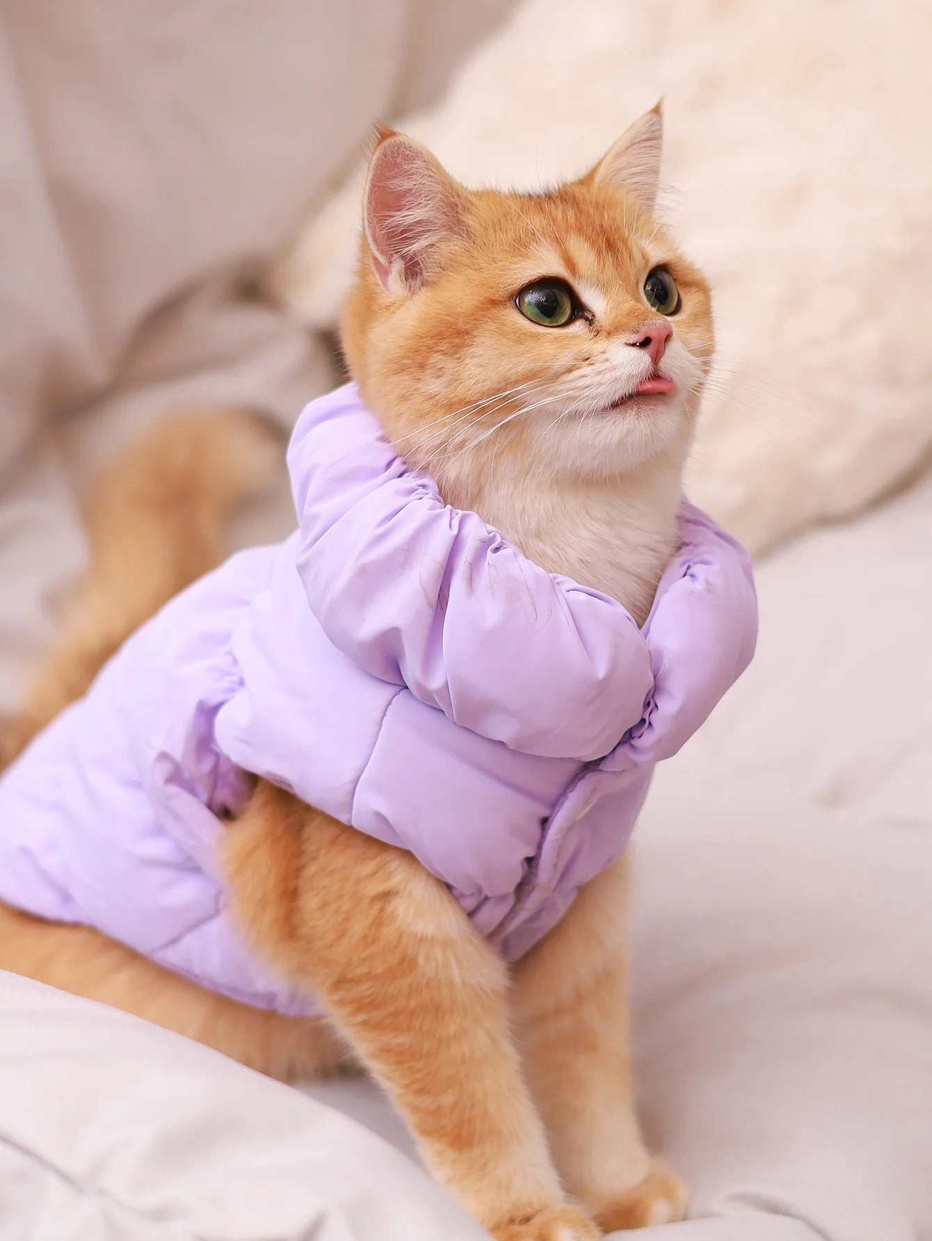Warm Winter Dog Jacket