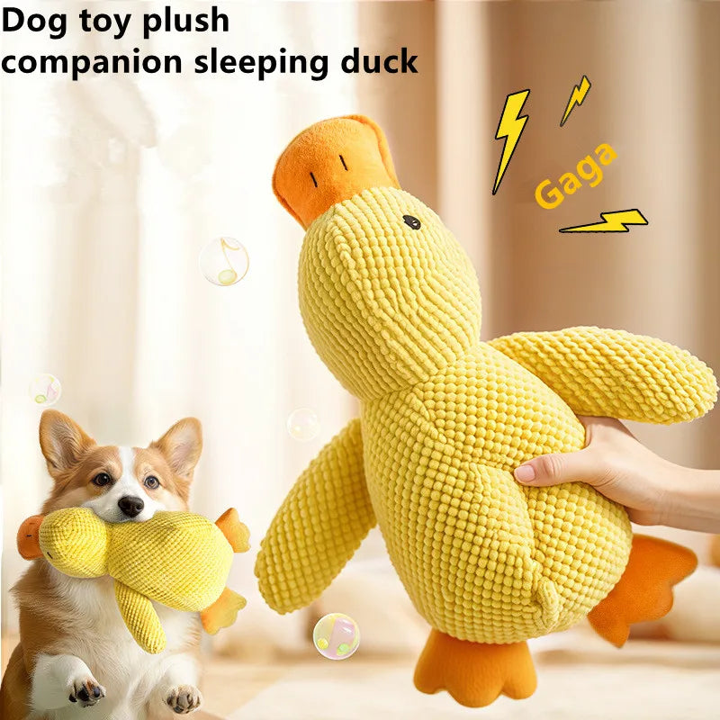 Duck Plush Toy