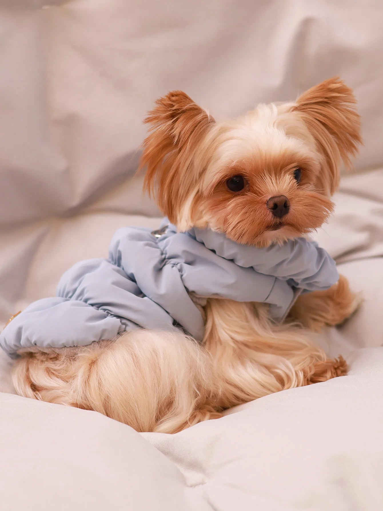 Warm Winter Dog Jacket
