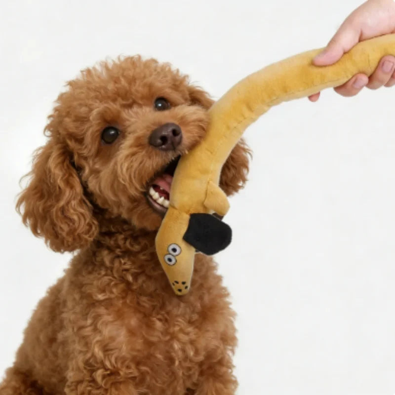 Snail Shaped Pet Toy