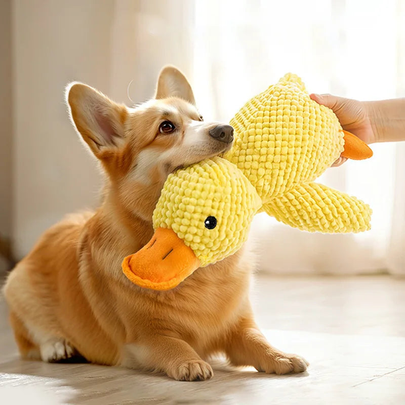 Duck Plush Toy