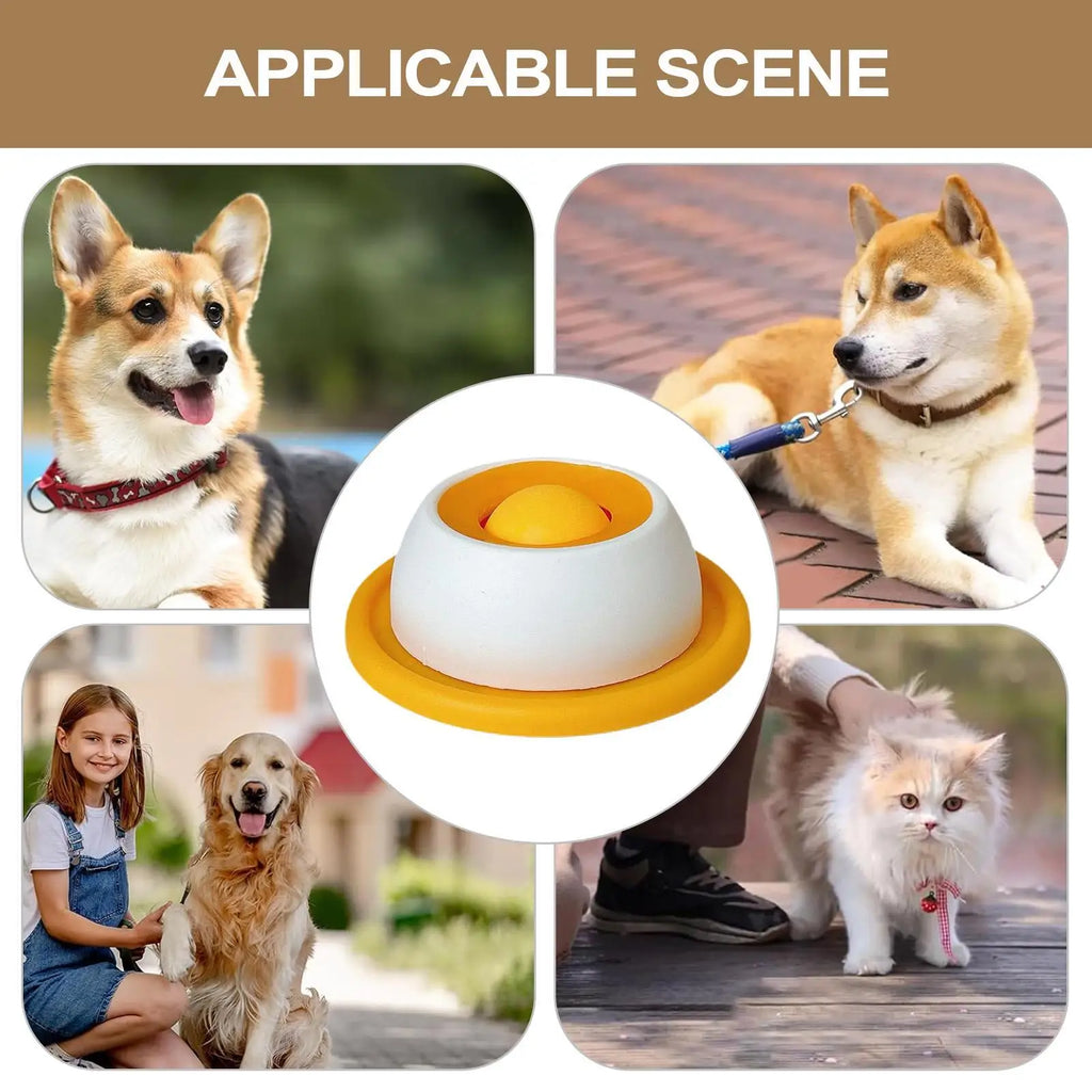 Pet Feeder Bowl