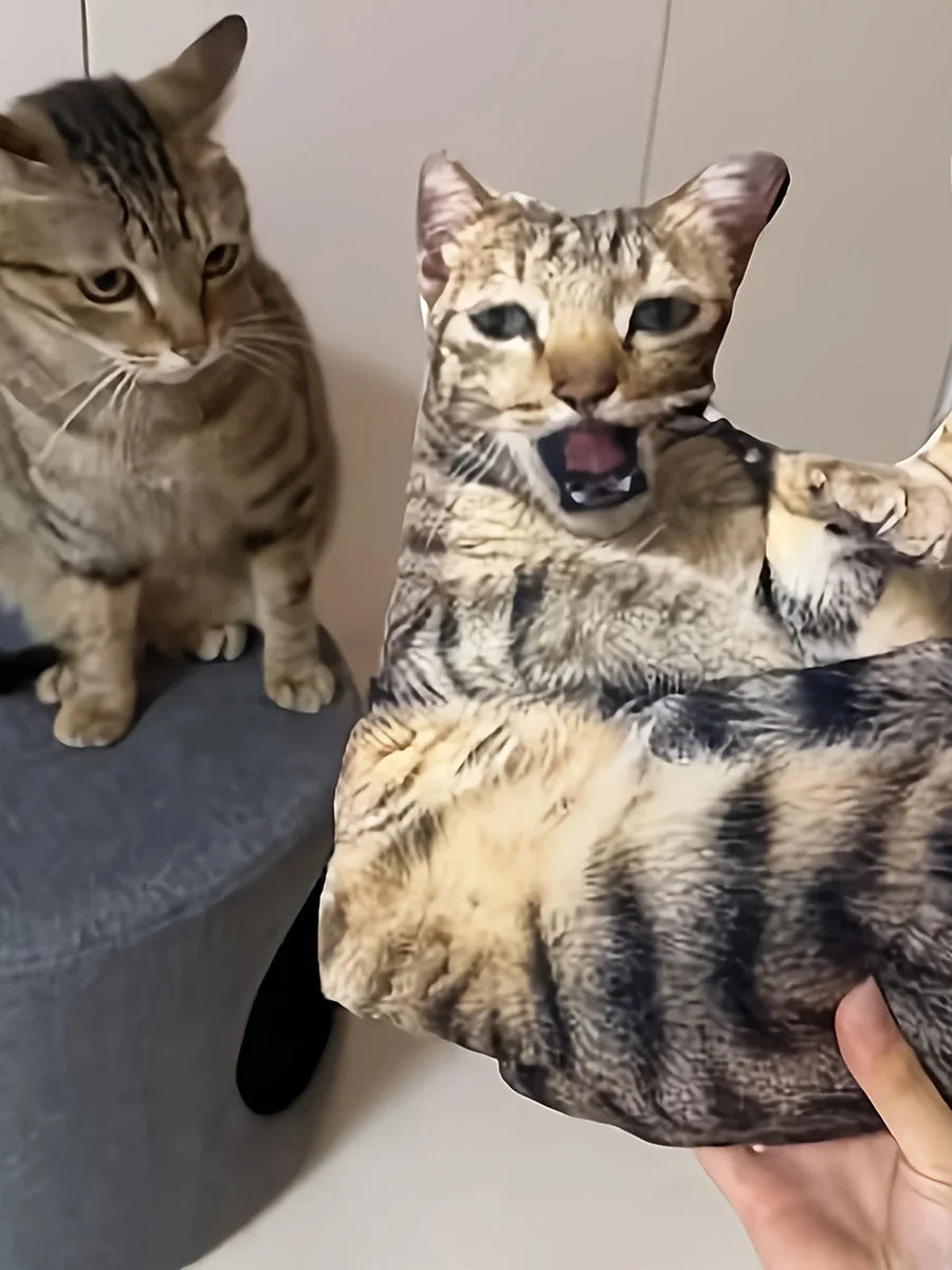 Funny Cat Pillow