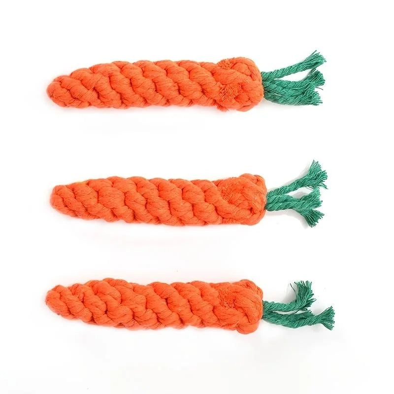 Carrot Toy