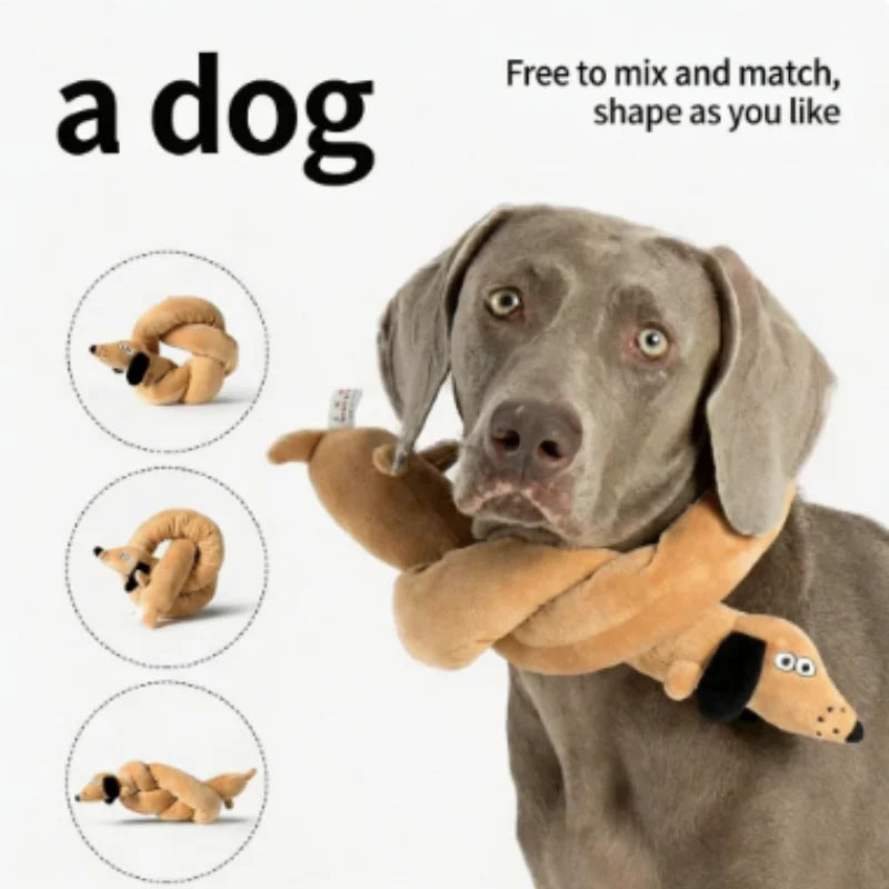 Snail Shaped Pet Toy