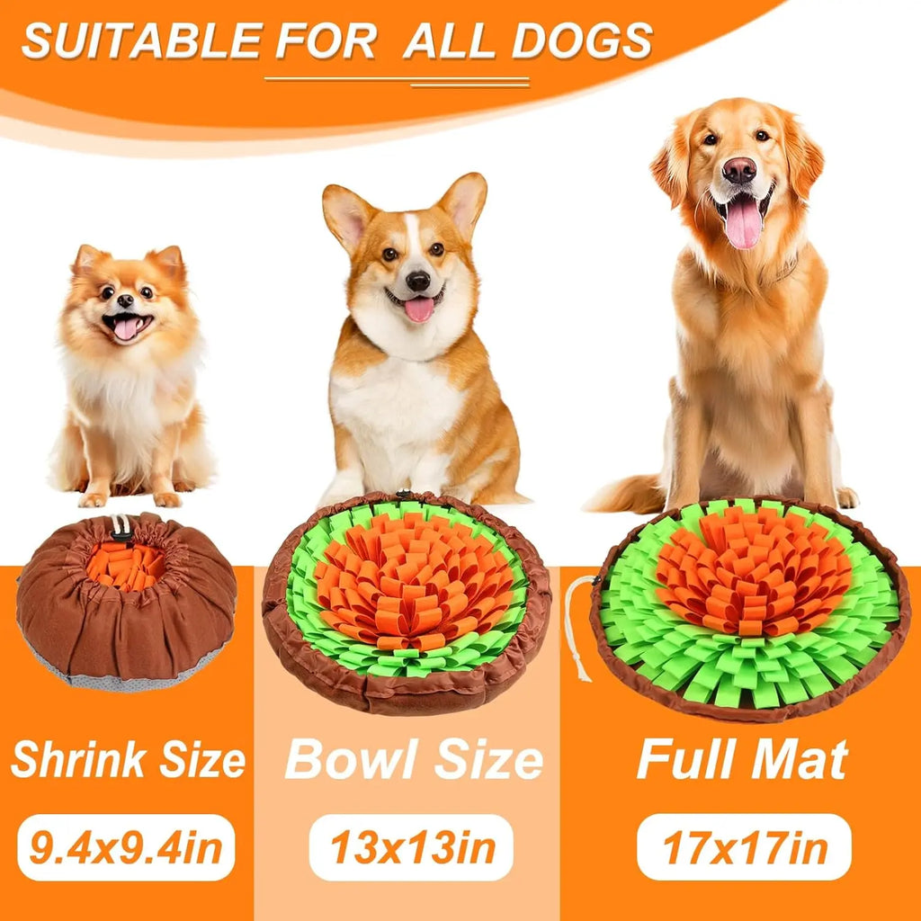Interactive Pet Snuffle Mat