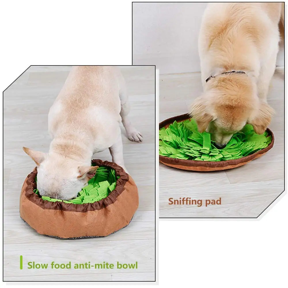 Interactive Pet Snuffle Mat