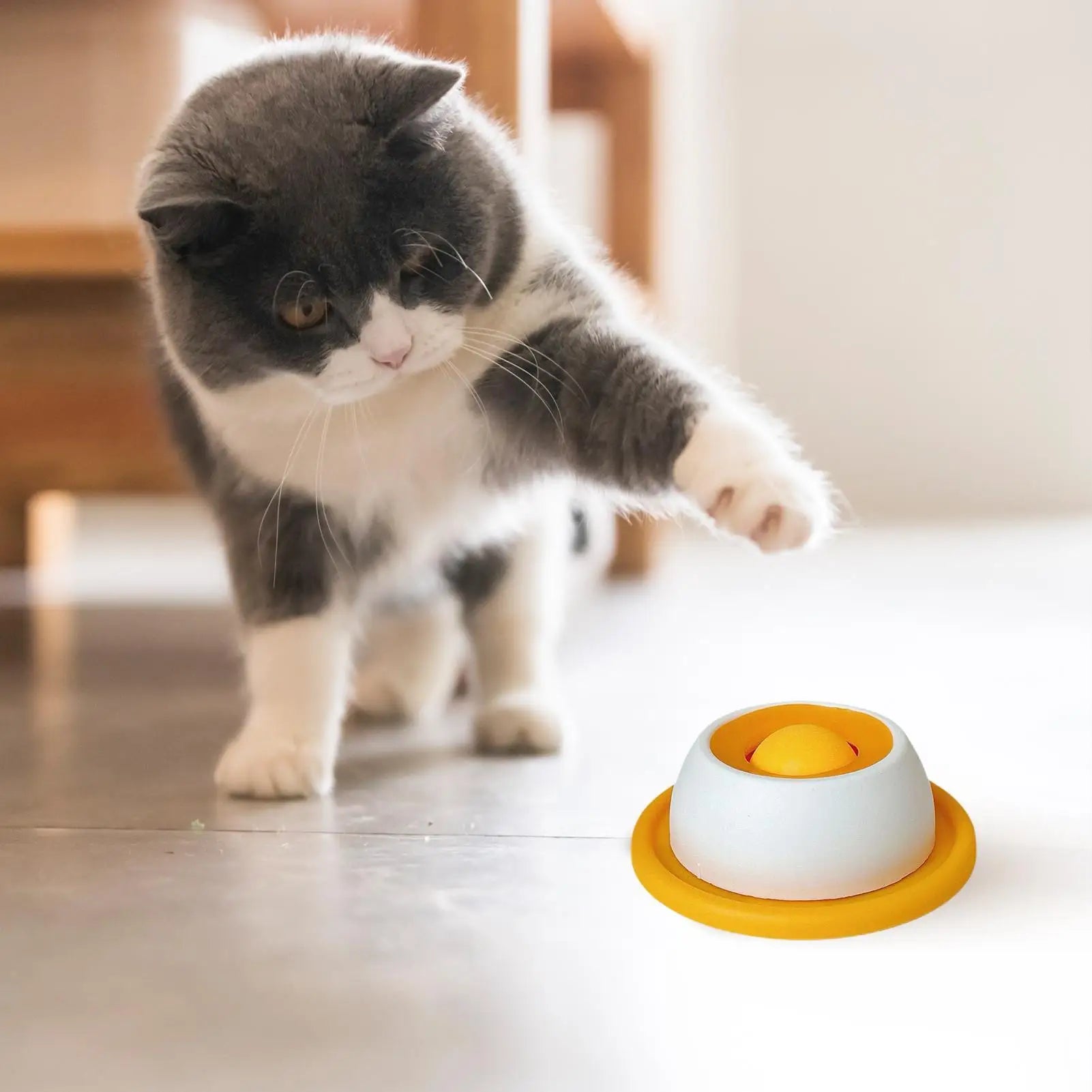 Pet Feeder Bowl